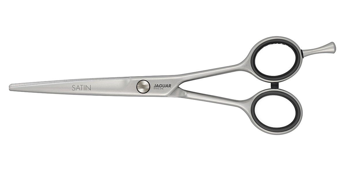 Jaguar Satin 6.0 - Ciseaux de Coiffure Professionnels Haut de Gamme