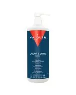 Valquer Ice Hair Mask Color & Shine - Masque Cheveux Colorés 300ml