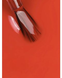 MNP Vernis à Ongles Shine N'Wear 256 Tropicana – Orange Corail Lumineux