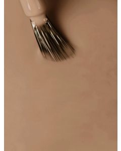 MNP SHINE N'WEAR 277 Almond - Vernis à Ongles Beige Amande Nude Premium
