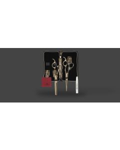 Olivia Garden SilkCut Ensemble de 2 Ciseaux Coiffure Noir/Or HS 5,75' et MS EUR RH