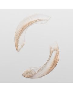 System Professional Luxe Oil Cream Elixir 50ml – Crème Sans Rinçage Ultraléger