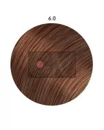 6.0 Blond foncé (100ml) - Olio'Sens