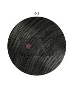 6-1 Blond foncé cendré- Igora Royal