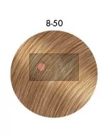 8-50 Blond moyen doré naturel - Igora Royal Absolutes