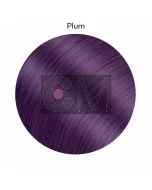 Plum (60 ml) – Pop Color