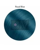 Royal Blue (60 ml) – Pop Color