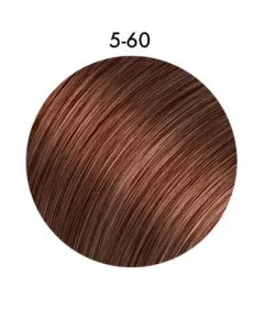 5-60 Châtain clair marron naturel - Igora Royal Absolutes