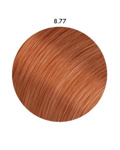 8-77 Blond clair Cuivré extra- Igora Royal