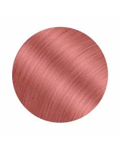 Coloration ton-sur-ton Colorful Hair L'Oréal Professionnel