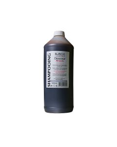 Shampoing amande 1L