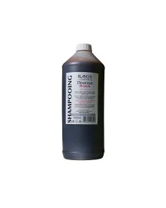 Shampoing amande 1L