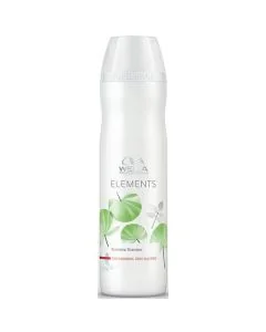Shampoing régénérant 250 ml - Elements