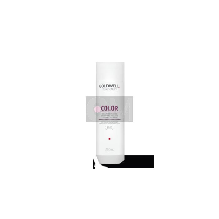 Goldwell Dualsenses Color Shampoo 250ml - Protection Couleur et Brillance