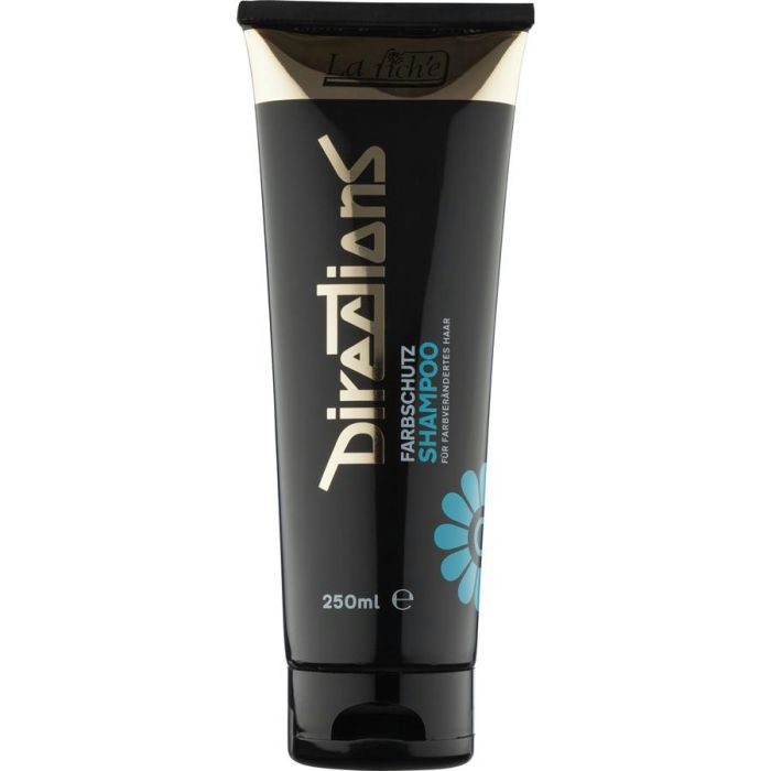 Directions Shampooing Protection Couleur 250 ml