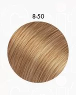 8-50 Blond moyen doré naturel - Igora Royal Absolutes