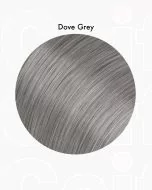 Gris acier moyen - Igora Royal Absolutes Silverwhite