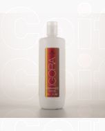 Lotion activatrice 4% - 13 VOL VIBRANCE
1000ml 