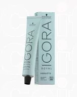 Schwarzkopf Igora Royal Highlifts 12-2 Blond Spécial Cendré 60ml