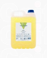 Valquer Shampooing Pomme 5000ml - Professionnel sans Sel, enrichi en Pro-Vitamine B5