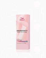 Wella Professionals SHINEFINITY 06/02 Dark Sage - Coloration Gel-Crème Longue Durée