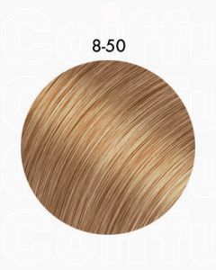 8-50 Blond moyen doré naturel - Igora Royal Absolutes