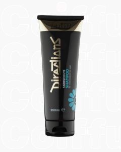 Directions Shampooing Protection Couleur 250 ml