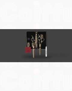 Olivia Garden SilkCut Ensemble de 2 Ciseaux Coiffure Noir/Or HS 5,75' et MS EUR RH