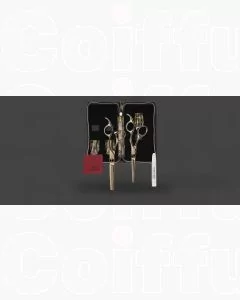 Olivia Garden SilkCut Ensemble de 2 Ciseaux Coiffure Noir/Or HS 5,75' et MS EUR RH