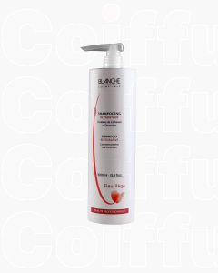 Shampoing réparateur 1L – Fleurilège