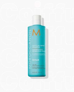 Shampooing hydratation Moroccanoil