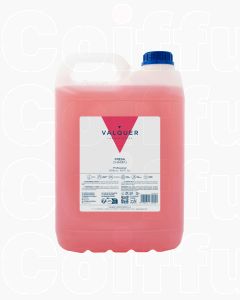 Valquer Shampooing Fraise 5000ml - Soin Professionnel pour Tous Types de Cheveux