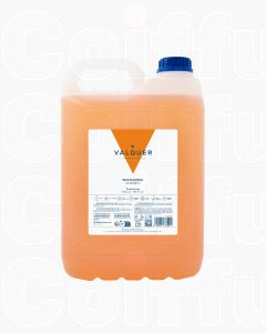 Valquer Shampooing Mandarine 5000ml - Format Professionnel