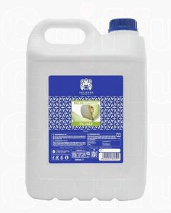 Valquer Shampooing Melon 5000ml - Professionnel Sans Sel
