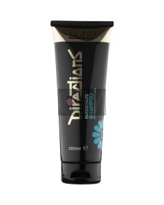 Directions Shampooing Protection Couleur 250 ml