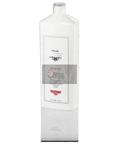 Nook Difference Hair Care Shampooing Énergisant 1000ml