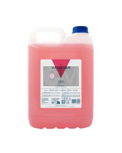 Valquer Shampooing Fraise 5000ml - Soin Professionnel pour Tous Types de Cheveux