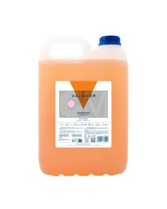 Valquer Shampooing Mandarine 5000ml - Format Professionnel