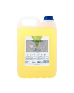 Valquer Shampooing Pomme 5000ml - Professionnel sans Sel, enrichi en Pro-Vitamine B5