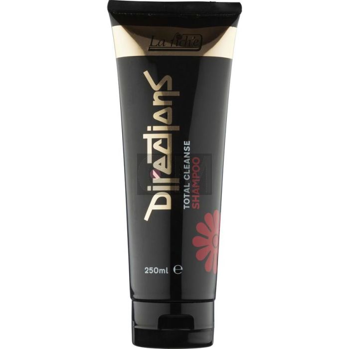 Directions Cleanse Shampooing 250ml - Soin Lavant Professionnel pour Cheveux Colorés